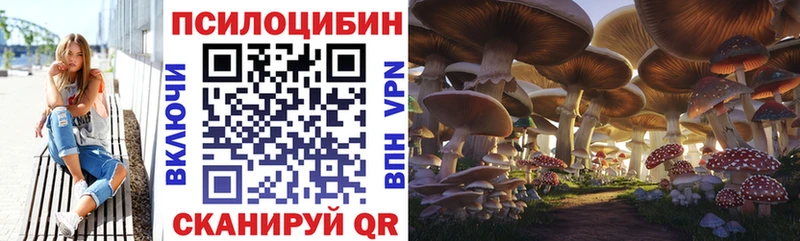 Галлюциногенные грибы MAGIC MUSHROOMS  Сусуман 